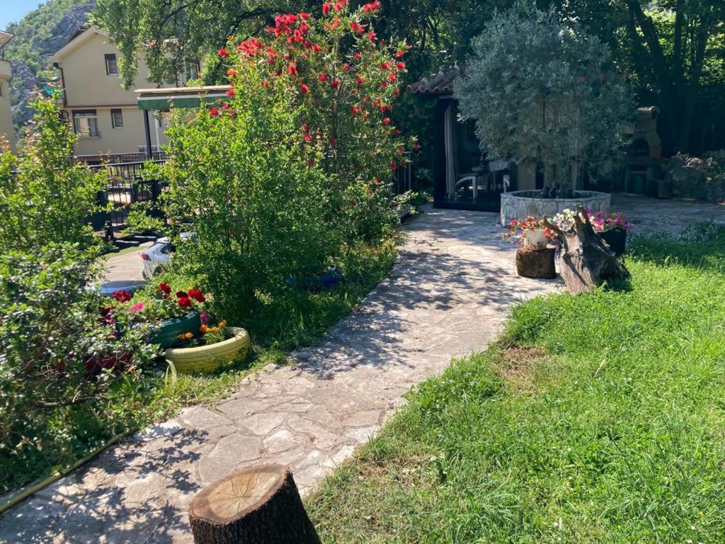 Apartments Villa Eden Kotor Exterior foto